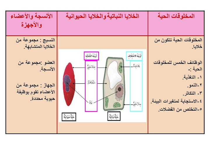 مطوية عن تصنيف المخلوقات الحية علوم رابع